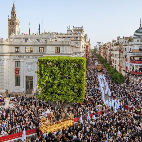Dónde comer en la Semana Santa de Sevilla: mejores sitios cerca de la Carrera Oficial (Guía 2026)